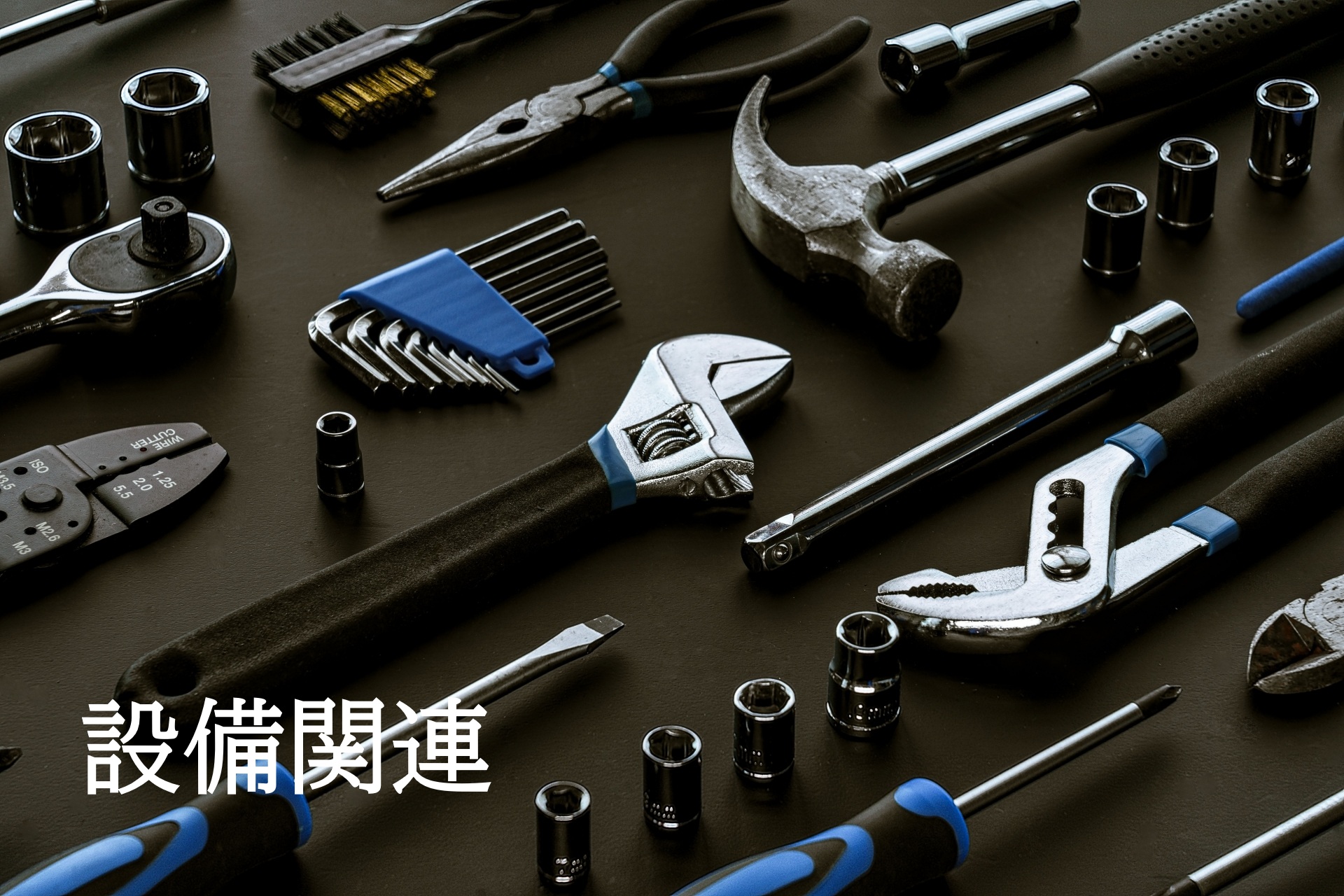 AdobeStock_247127825.jpeg